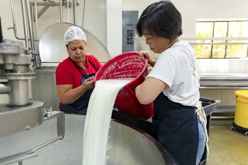 Two women pour milk from a pale into a large metal vat.