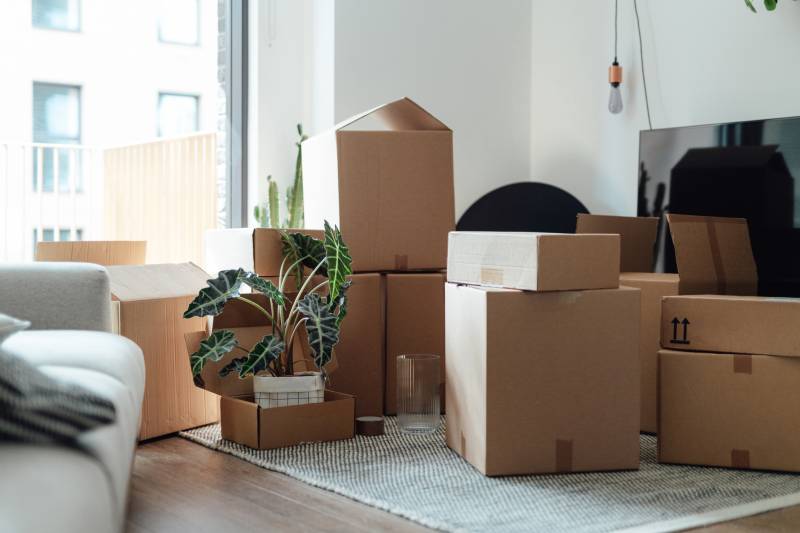 Stacking of cardboard boxes and a potted plant in the living room of a house.