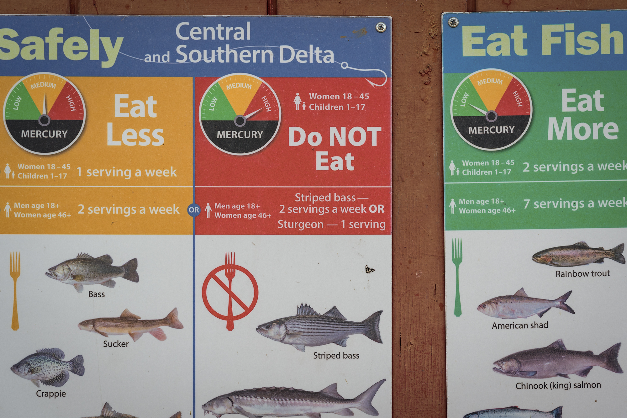 Yellow, red and green signs on a board showing different fishes with messages such as "Eat Less" and "Do Not Eat."