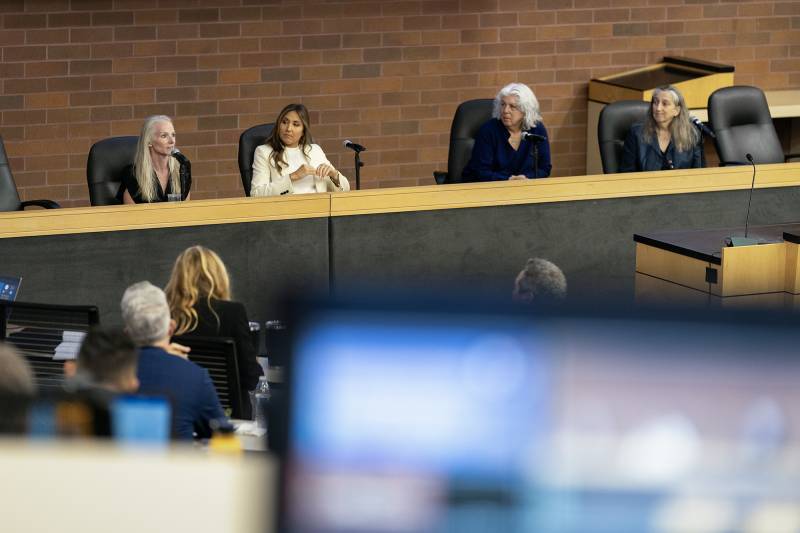 An image of several people seated on a panel with a desktop screen in the foreground.
