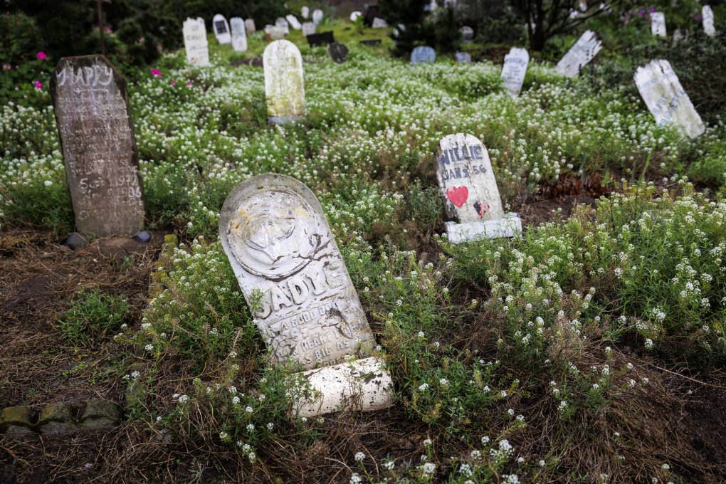 Tombstones in a cemetery.