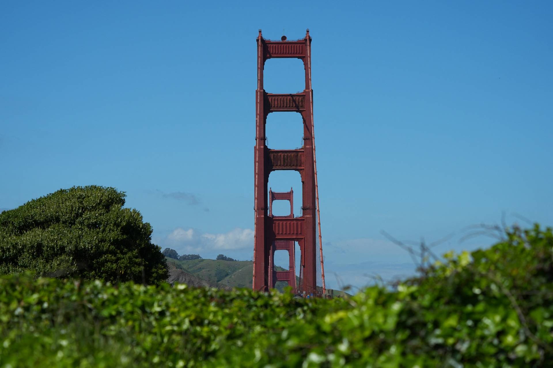 Golden Gate Bridge Protest Trial Opens in San Francisco | KQED