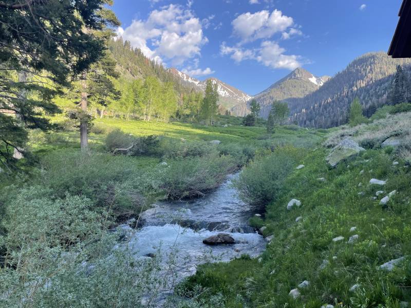 A view of a stream and grassy area with snowy mountains in the distance.