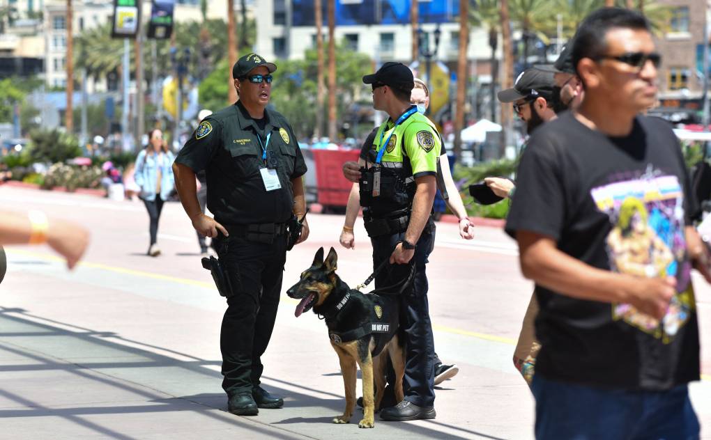 K-9