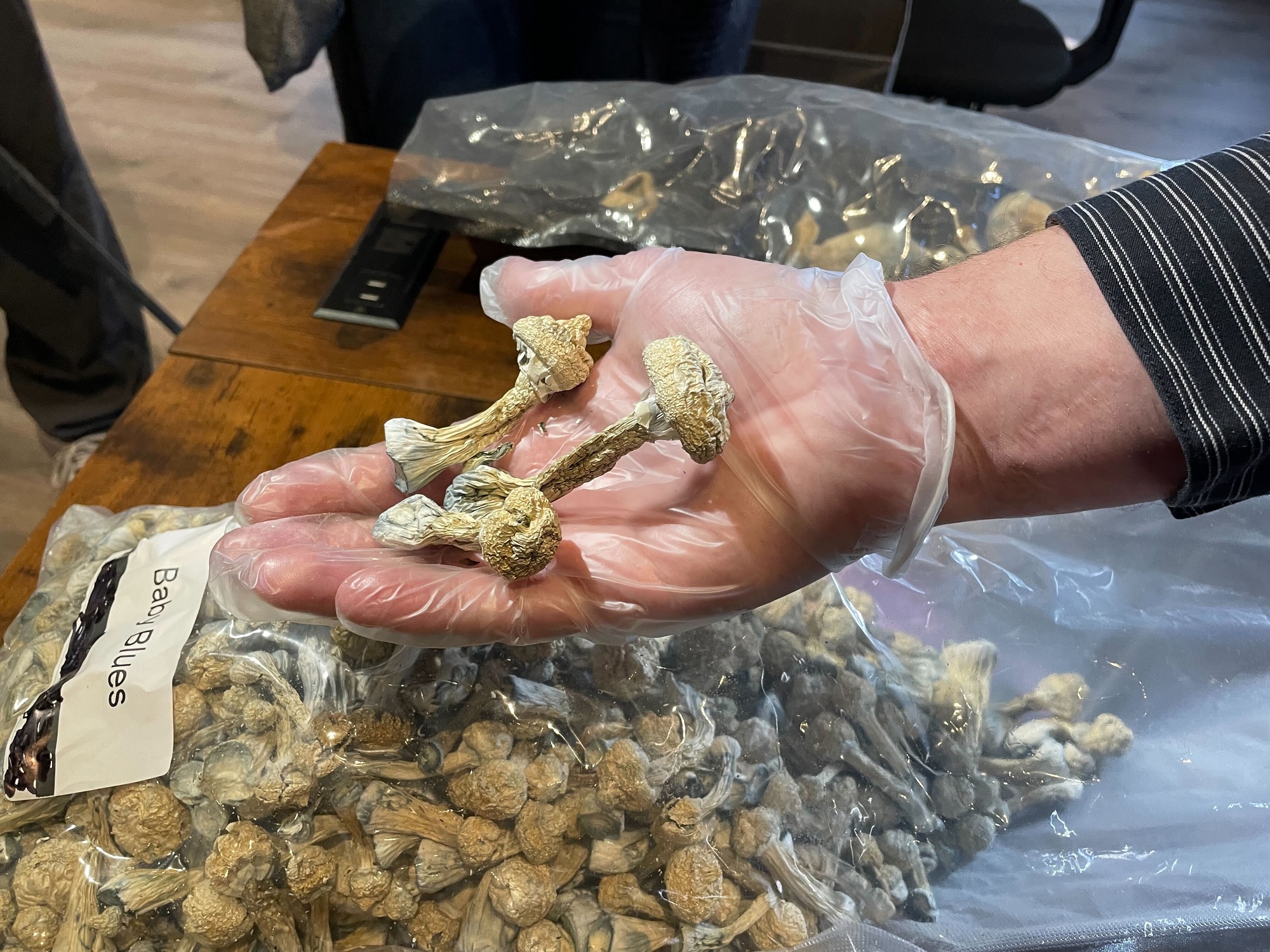 San Francisco Mushroom Church Will Close, Alleging It Was Targeted