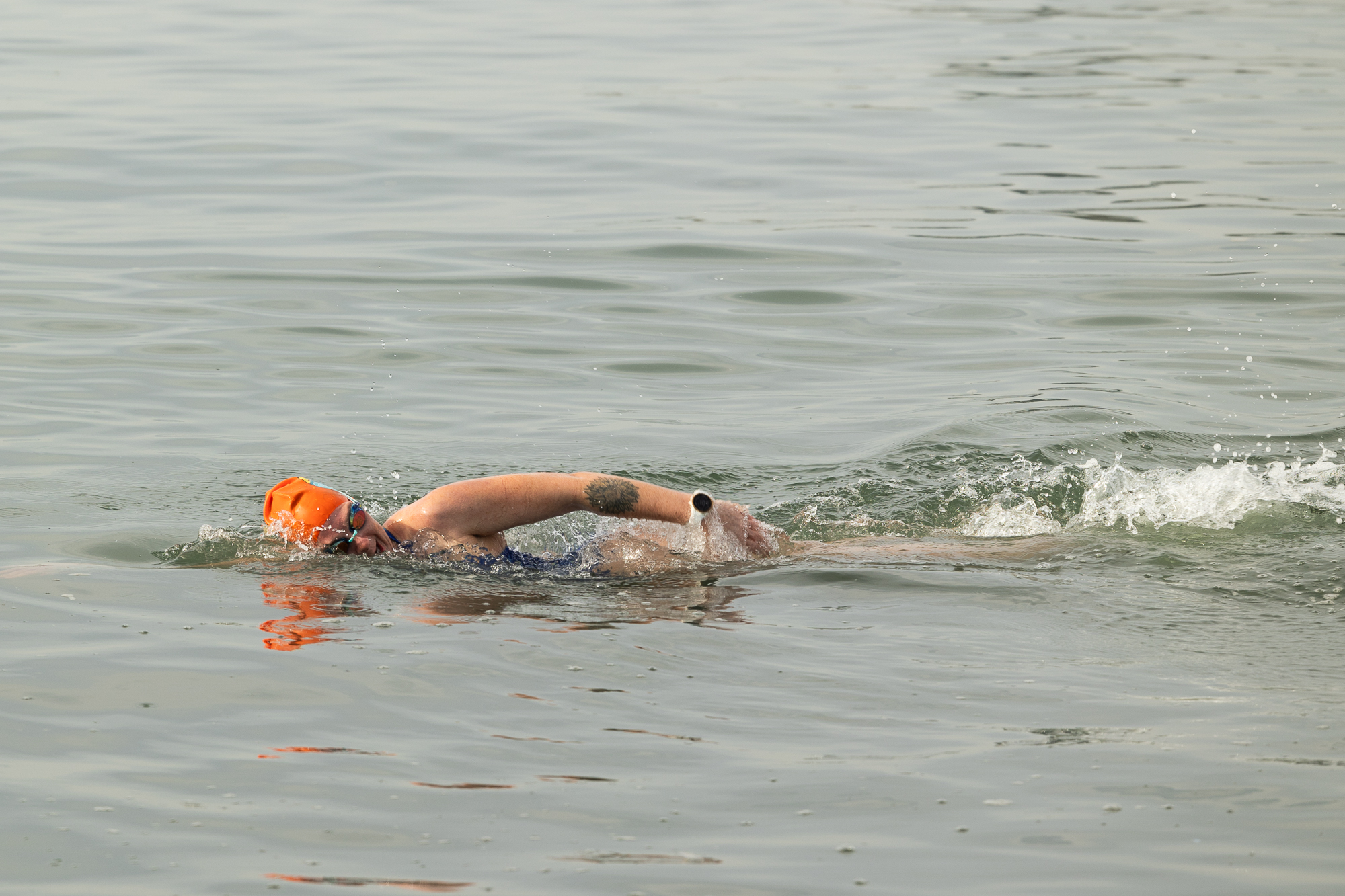 A swimmer in an orange cap cuts through a large open body of water.