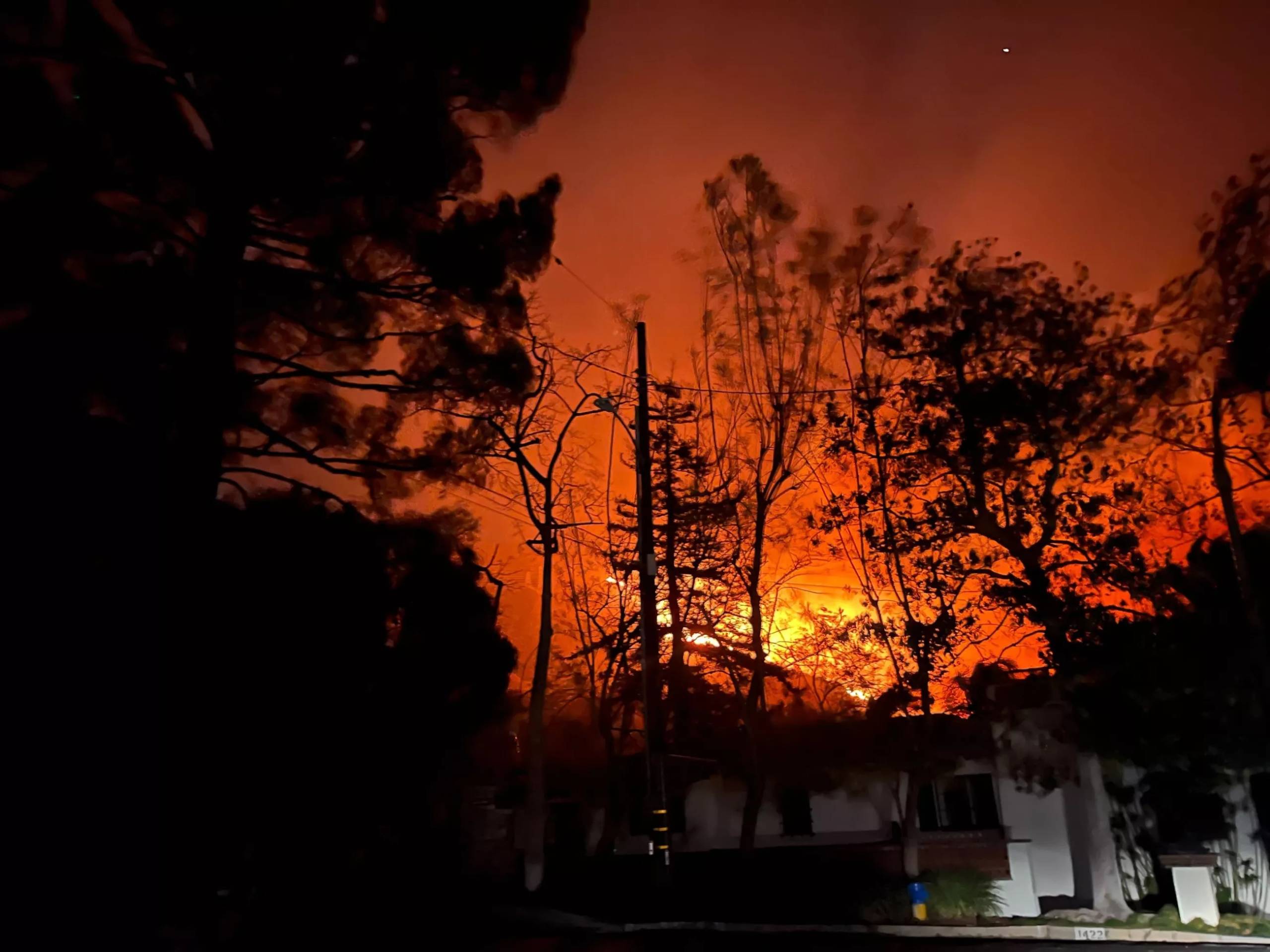 A suburban street with strong flames encroaching.