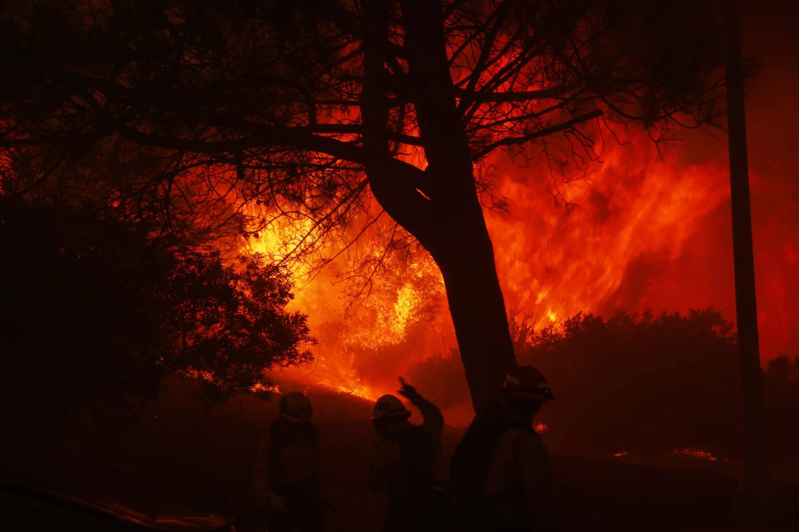 Flames engulfing a wooded area and structures with a tree in the foreground.