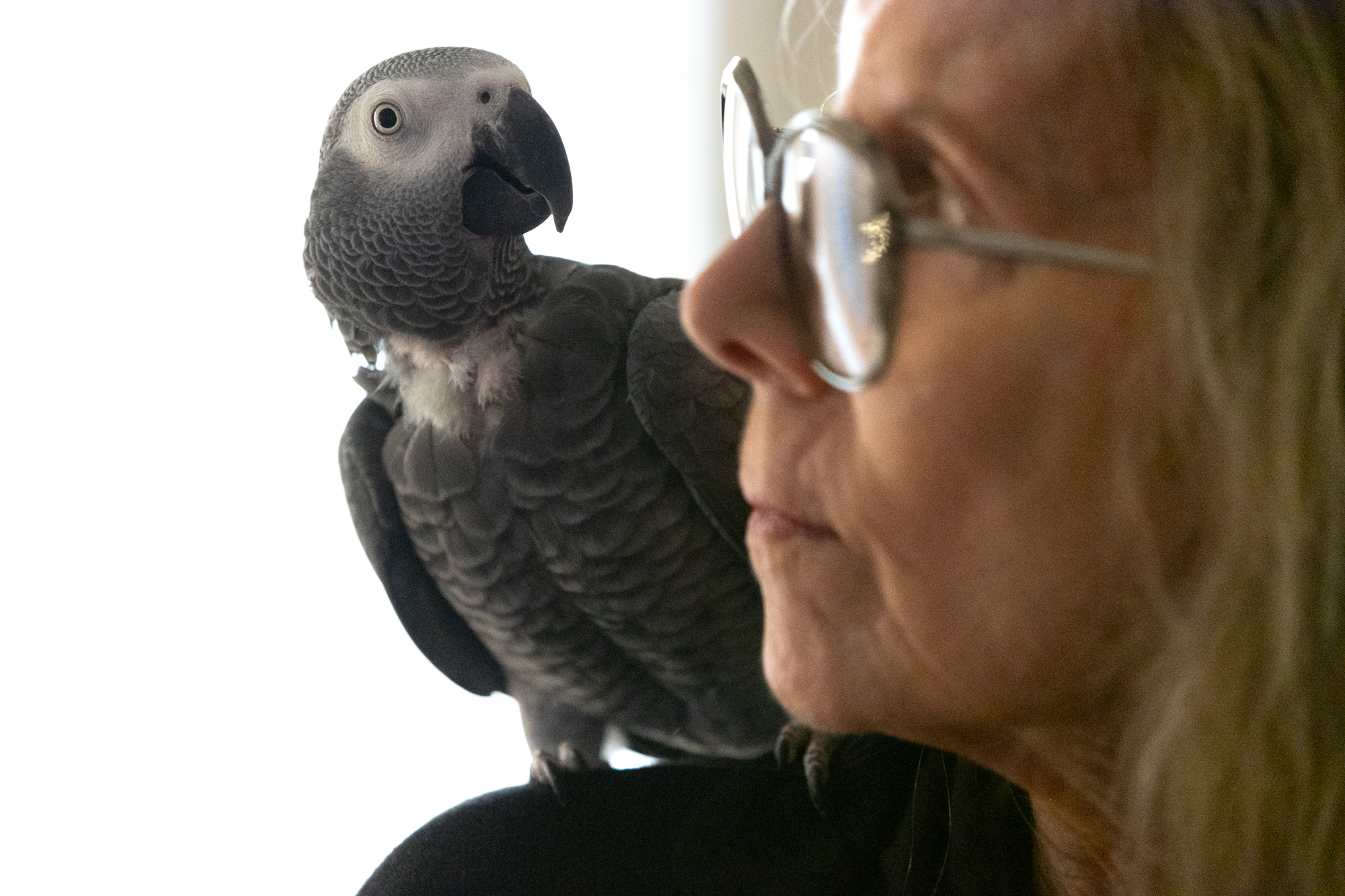 A middle-aged woman with glasses looks at a grey parrot perched on her shoulder.