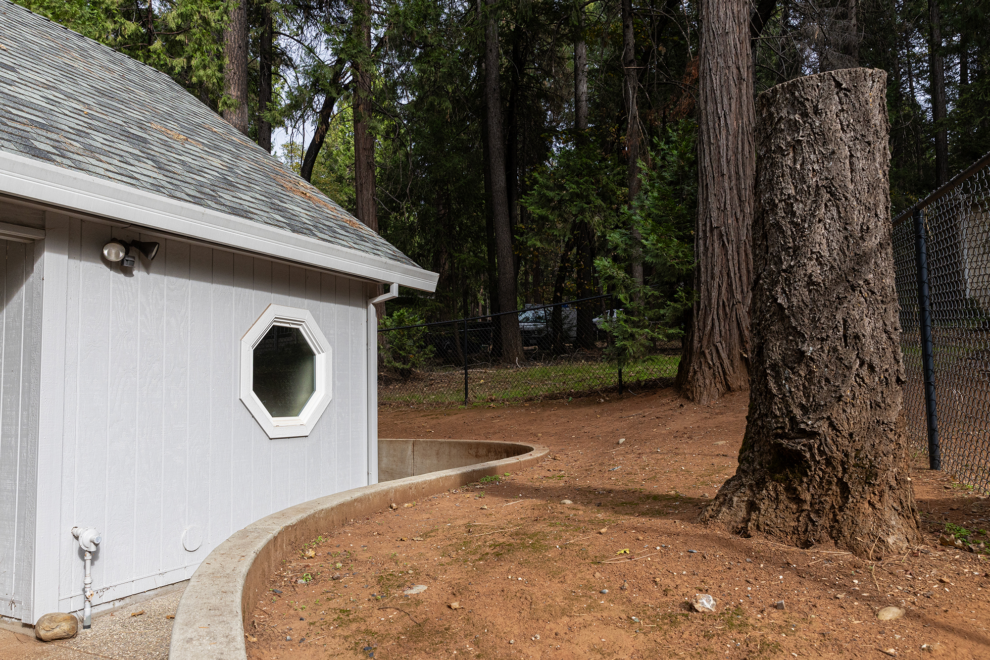 A view of the side of a home with a forest full of trees to the right.