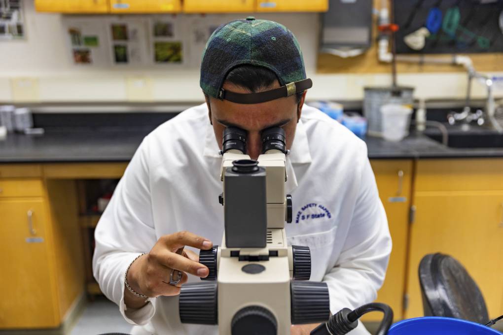 A Unique San Francisco Bay Marine Lab Faces Closure. It Has Days to ...