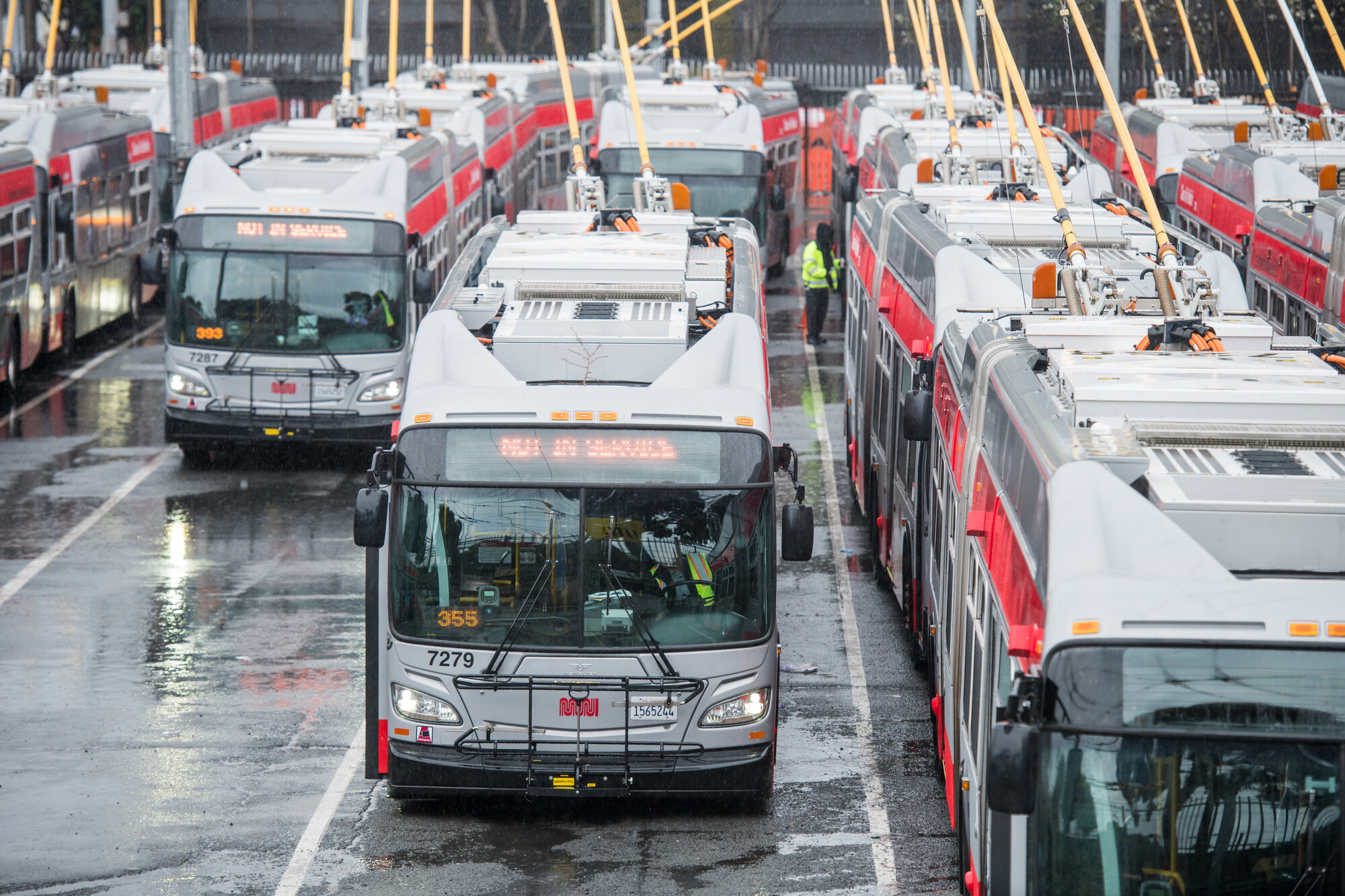 A fleet of buses with red stripes in a parking lot.