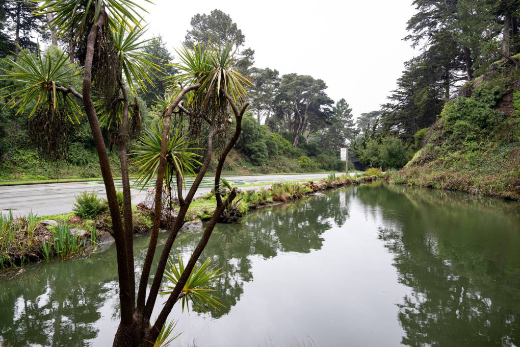 O Supervisor de SF pede a auditoria de parques, depois que o parceiro sem fins lucrativos perde US $ 3,8 milhões
