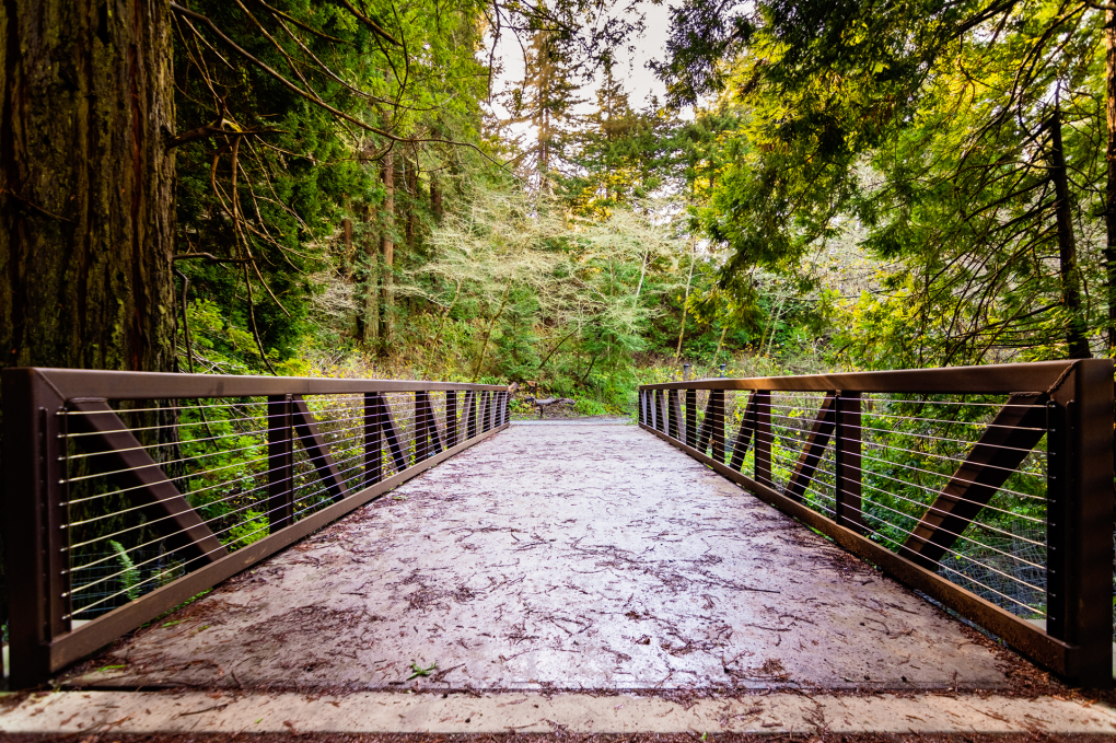 5 melhores caminhadas na dimensão da baía para o término de semana do Memorial Day