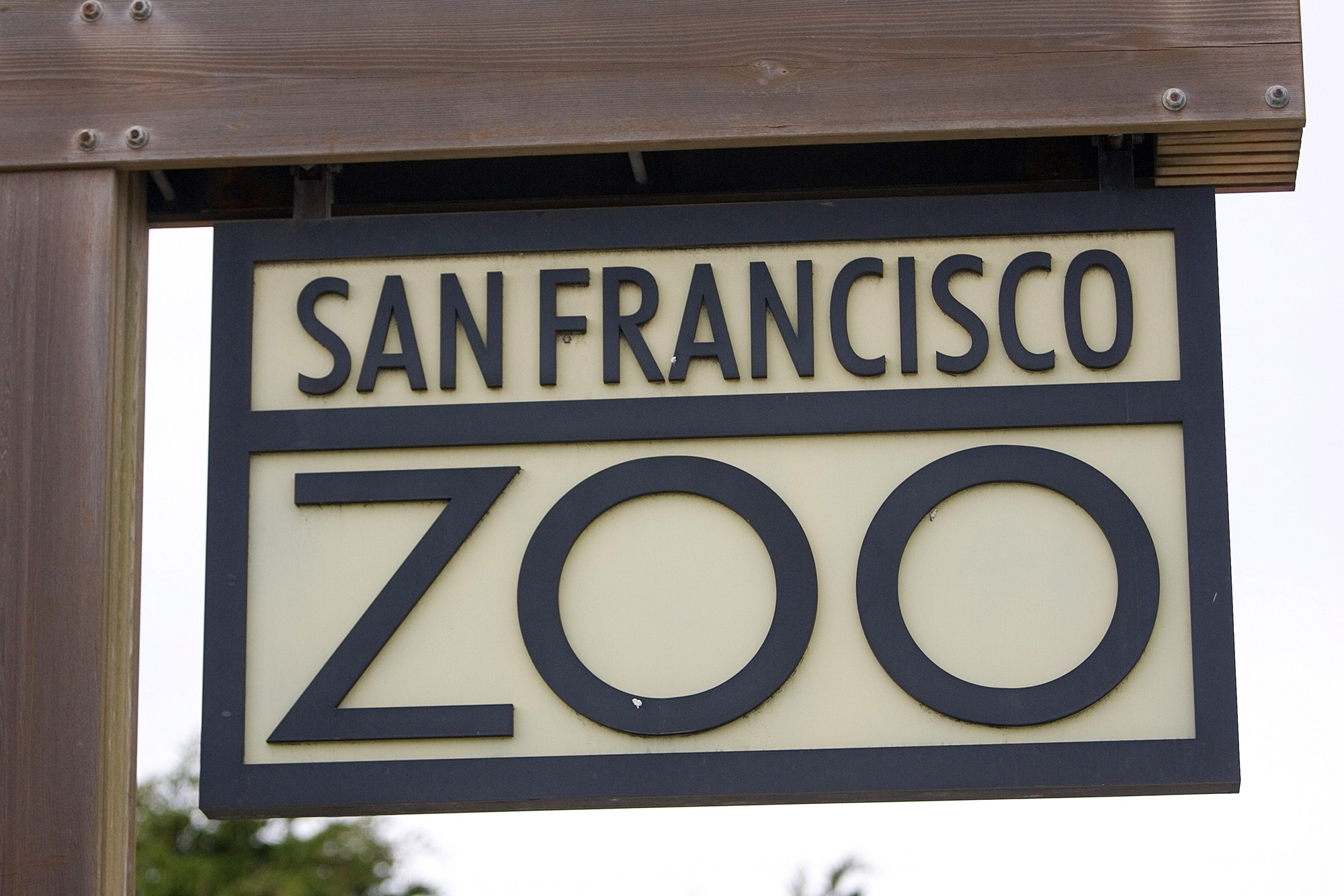 Lurie e SF Zoo CEO em desacordo com sua deposição