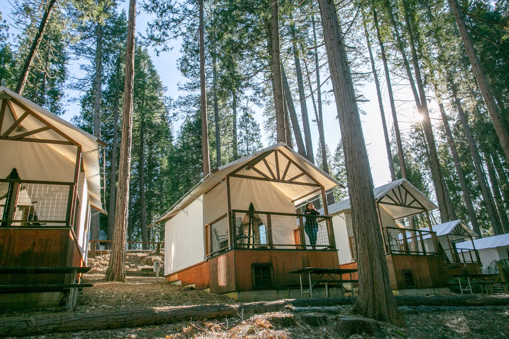 Não gosta de acampar, ainda quer a natureza? De yurts a cabines, manchas de 5 ‘glamping’ na superfície da baía e além