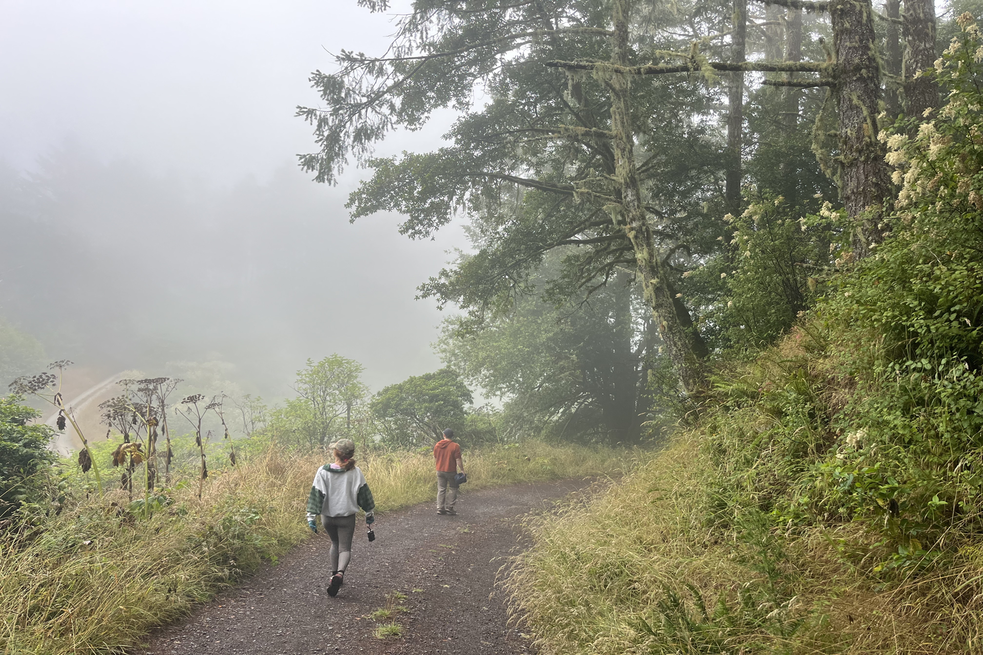 5 Great Bay Area Days Out For When It's Cold and Gloomy