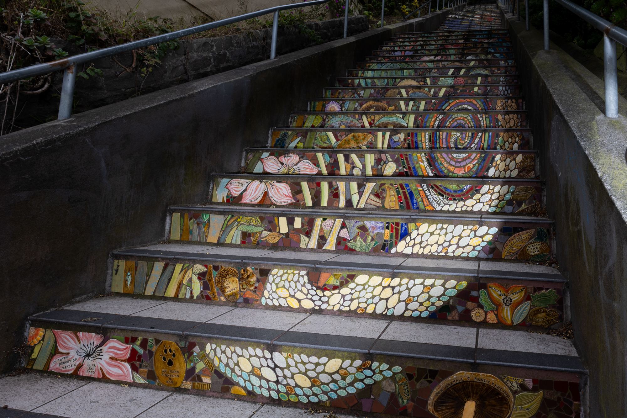 Stairways Crisscross the Hills of San Francisco. Here's Why People Love Them | KQED