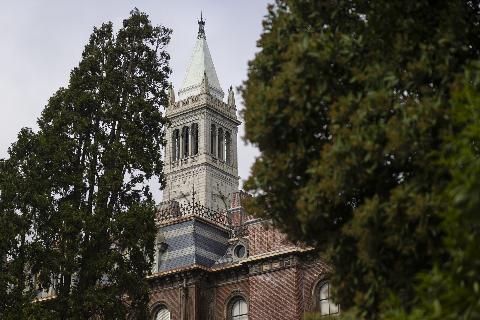 UC Berkeley Cop Car Firebomber Receives Nearly 20 Years in Prison | KQED