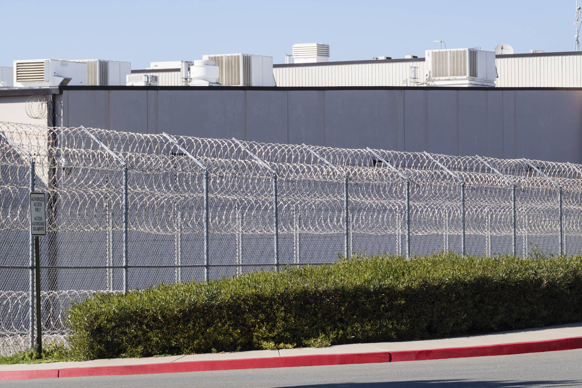 Lawyers Using Habeas Corpus In Last-Ditch Efforts To Free Detained Immigrants | KQED