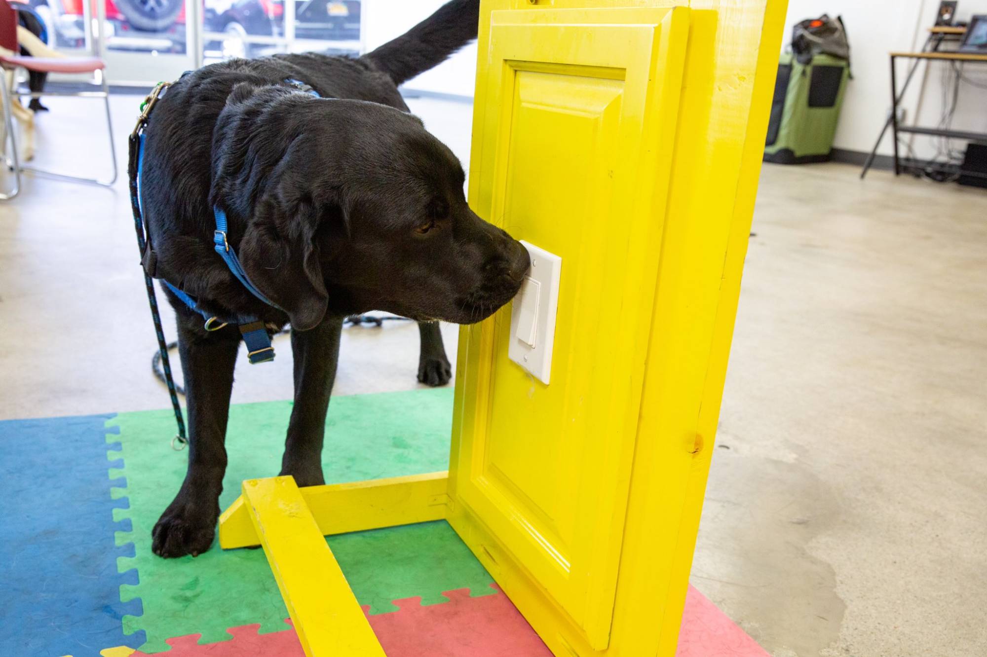 Program For Veterans Faces Major Funding Cuts | KQED