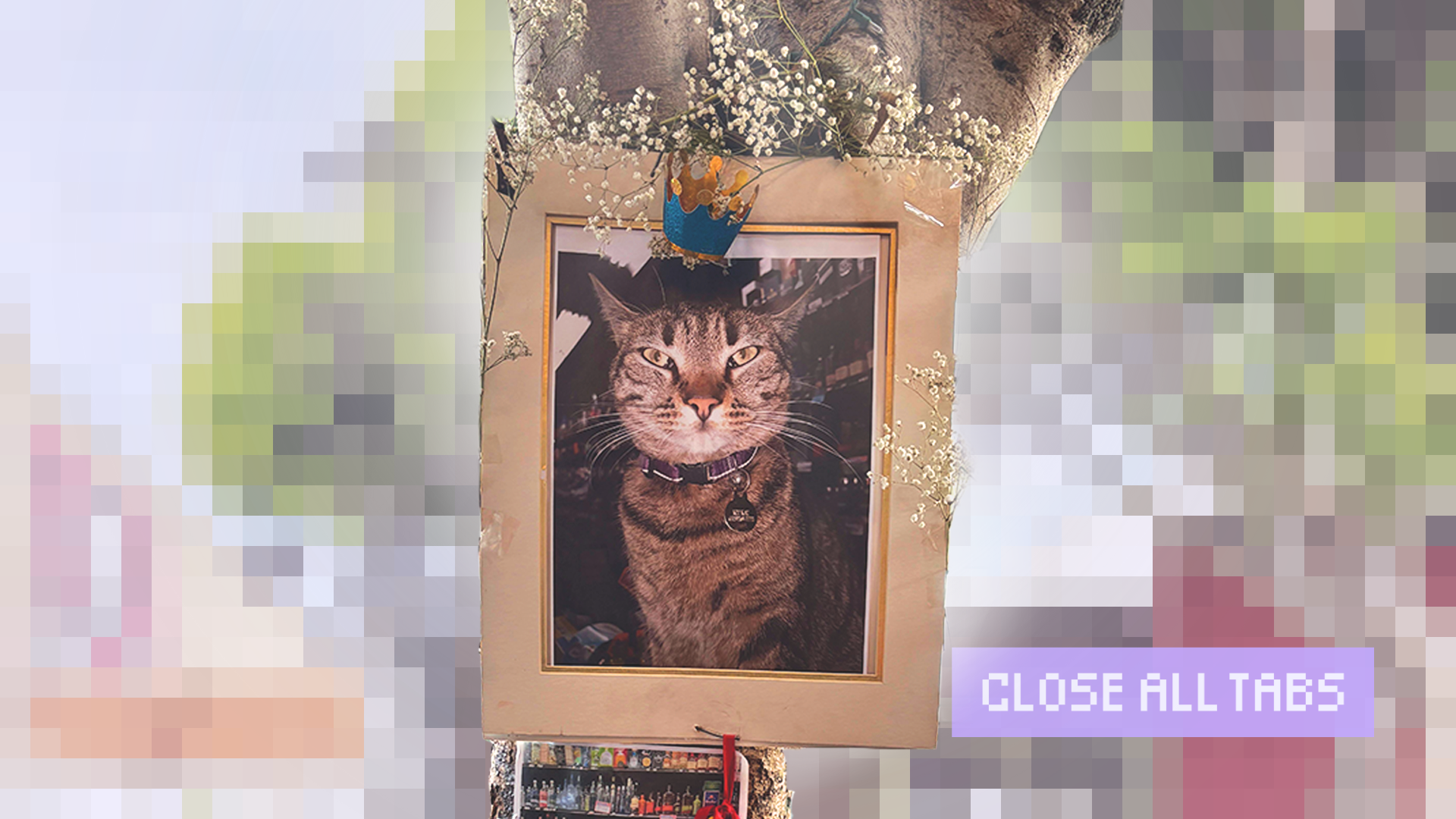 A framed photo of KitKat, the bodega cat who went viral after being struck and killed by a Waymo, is hung on a tree against a blurred pixelated background. The frame is adorned with a paper crown and flowers. The words “CLOSE ALL TABS” appear in pixelated text in the lower right with a purple background.