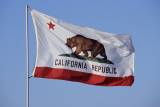 California Considers Grizzly Bear Reintroduction Amidst Divided Opinions