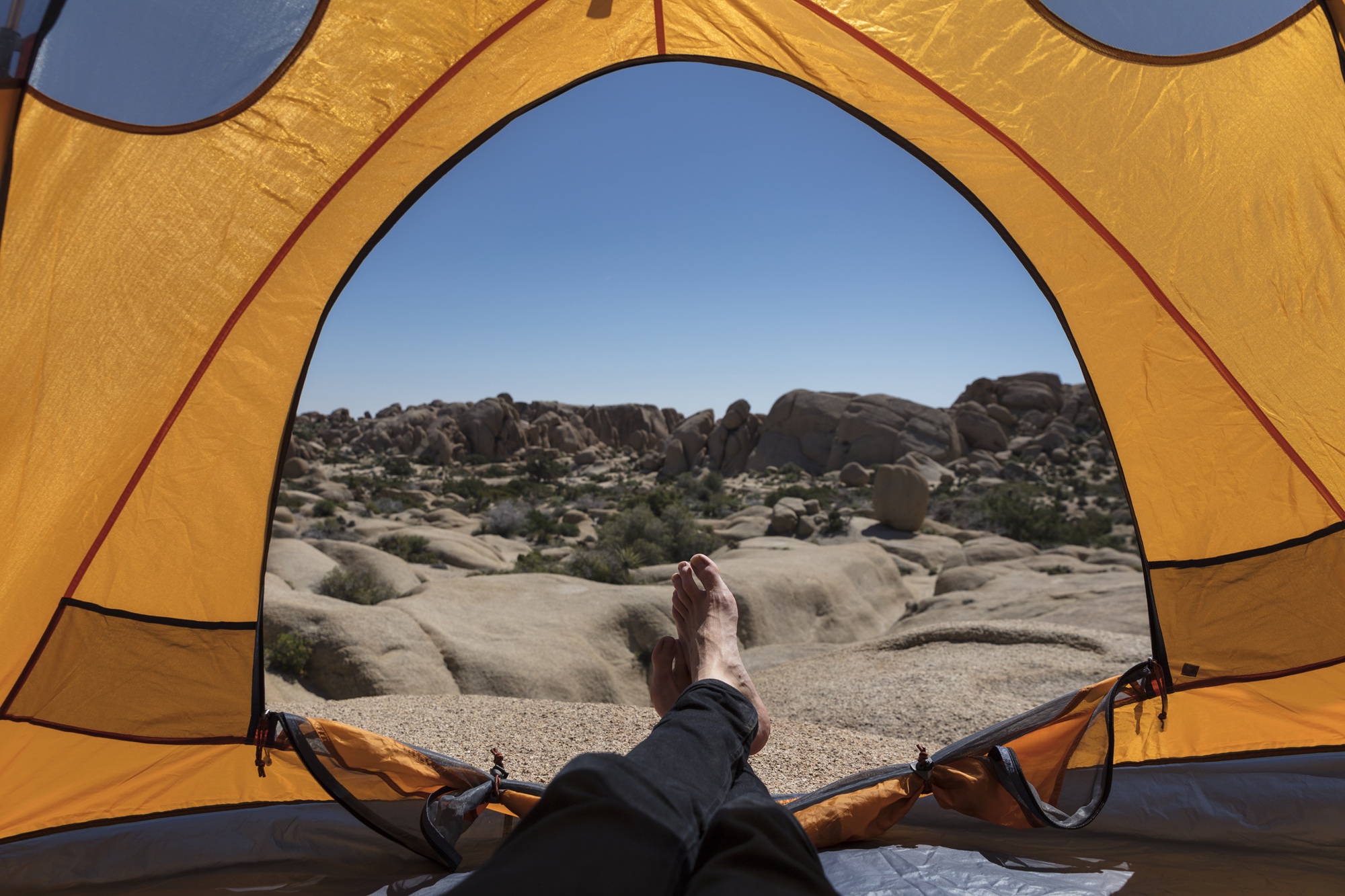 Dispersed Camping 101: How to Find Free Campsites Near the Bay Area | KQED