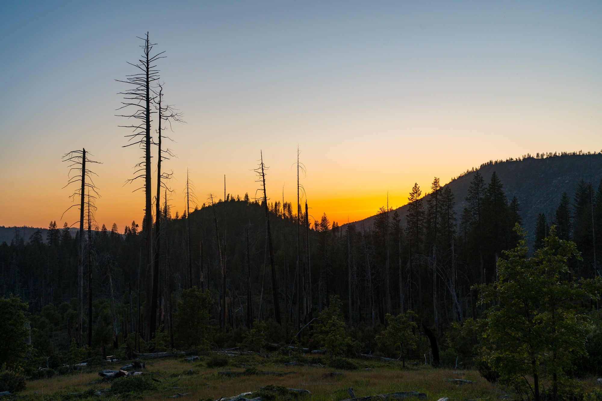 Dispersed Camping 101: How to Find Free Campsites Near the Bay Area | KQED
