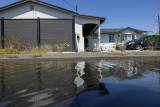 San Francisco and Marin Face Flooding Amid Highest Summer Tide on Record episode artwork