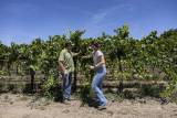 College Grads vs. AI; Lodi Vineyards Pivot to New Crops; Fresno Students Head to Clarinet ‘Olympics’ episode artwork