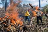 Can Controlled Burns Help With California’s Air Pollution? episode artwork