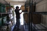 Urban Tilth Expands Food Access Programs Amidst Rising Hunger in East Bay