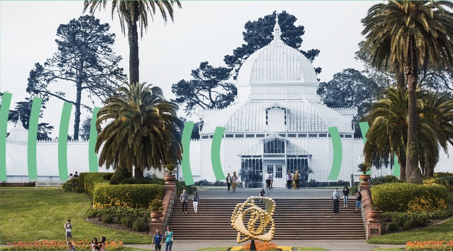 A Bay Curious Adventure: History in Bloom at the Conservatory of Flowers