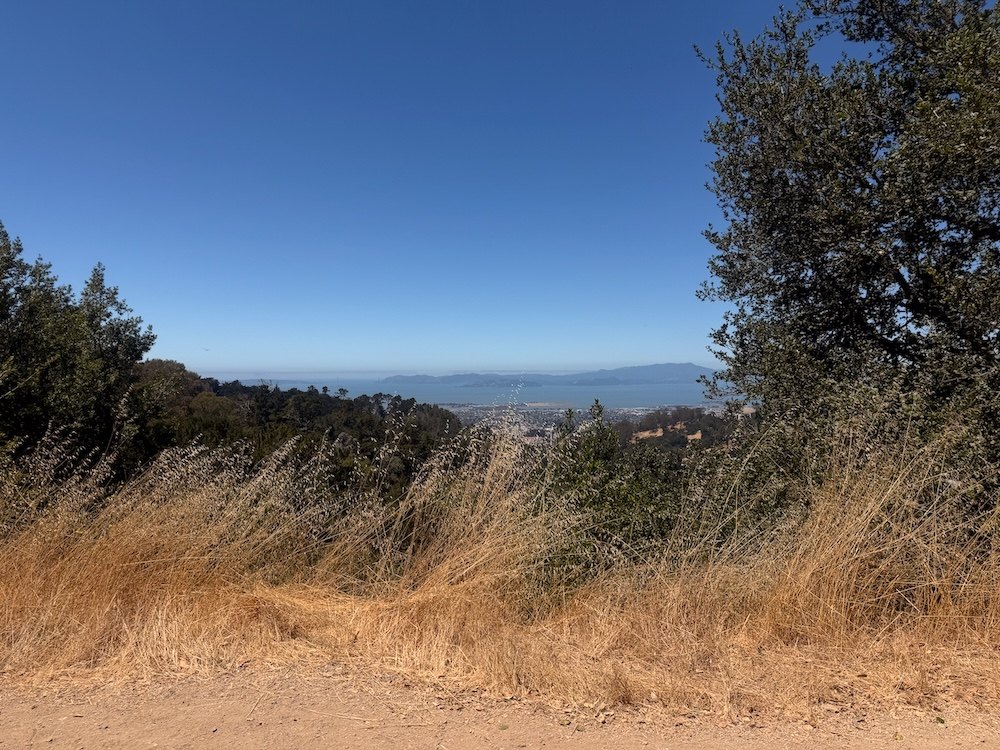 The view from my bench