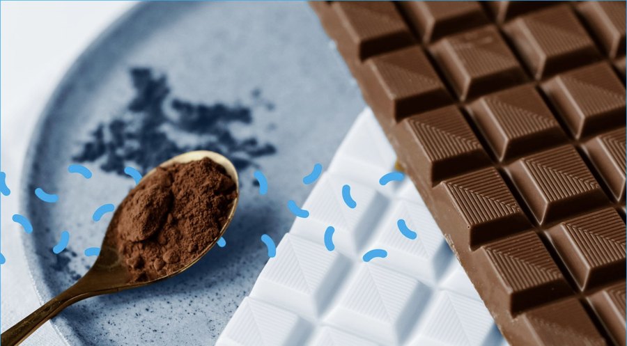 The New Alchemy of Chocolate: Crafting Tomorrow’s Cocoa