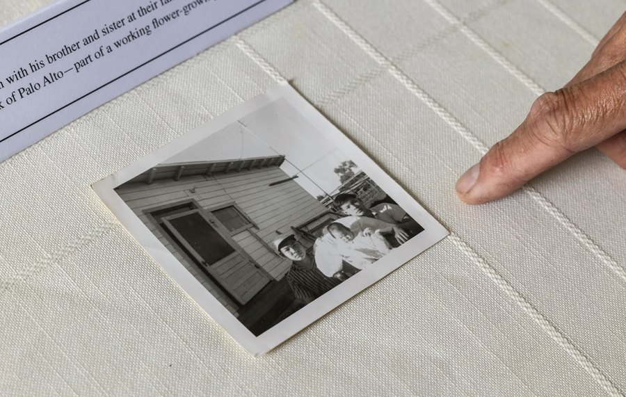 When Chinese Flower Growers Helped the Bay Area Bloom