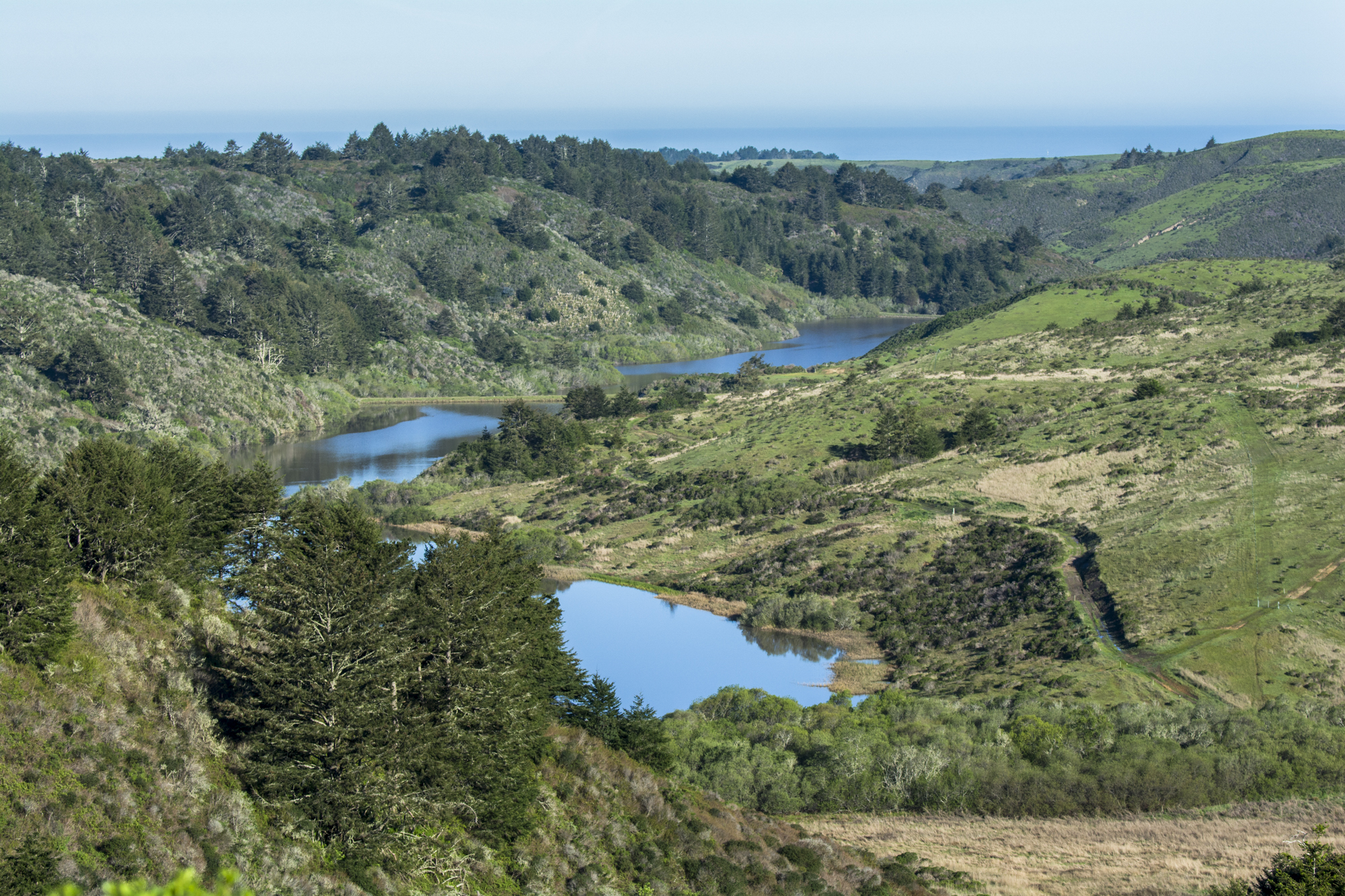 A serene landscape featuring winding blue waterways nestled among lush green hills and dense forests under a clear sky.