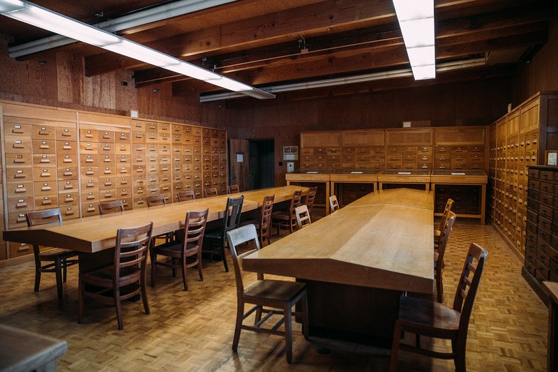 The xylarium at UC Berkeley’s Richmond Field Station, a room lined with wood specimens