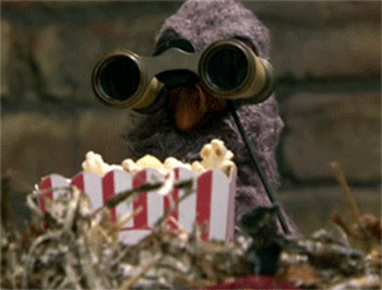 pigeon-popcorn-reverse.gif