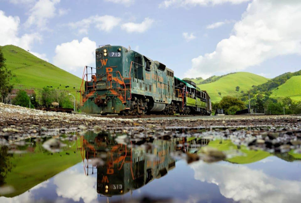 All Aboard: Scenic Rail Rides Around the Bay Area | KQED
