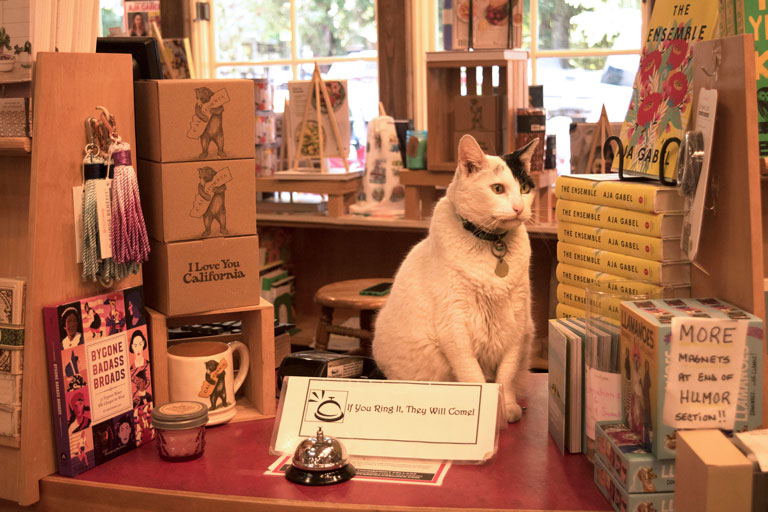 Dakota is your favourite bookseller