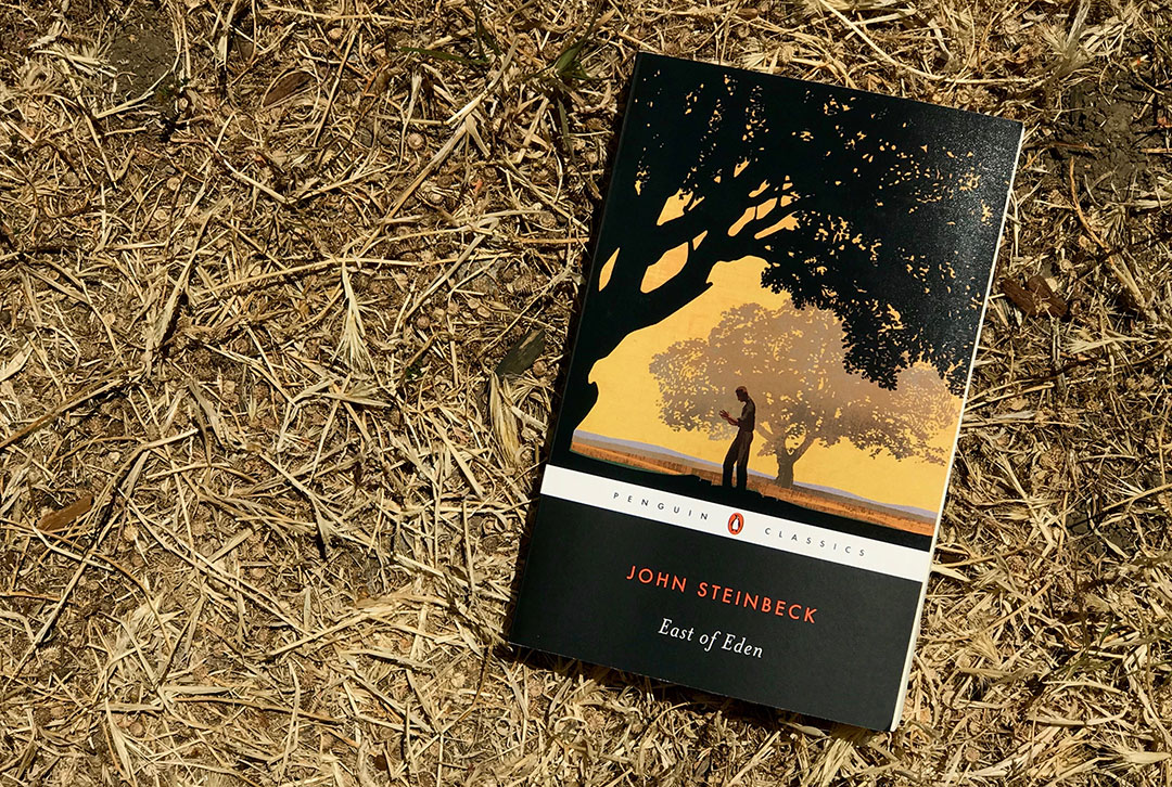 Джон стейнбек аудиокниги. John Steinbeck "East of Eden". John Steinbeck novel. Джон Стейнбек к востоку от Эдема иллюстрации. Джон Стейнбек письма.