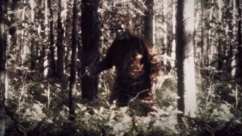 A person in a Bigfoot suit standing in the woods.