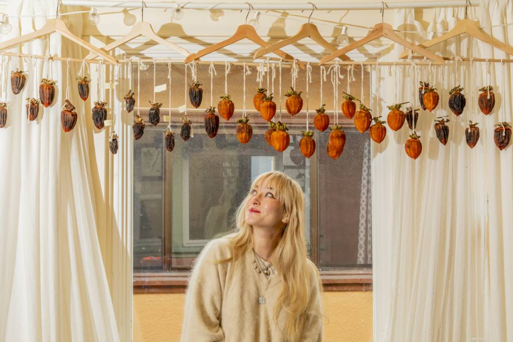 a young Hapa woman stands in a white sweater looking up at dried persimmons hanging from clothes hangers