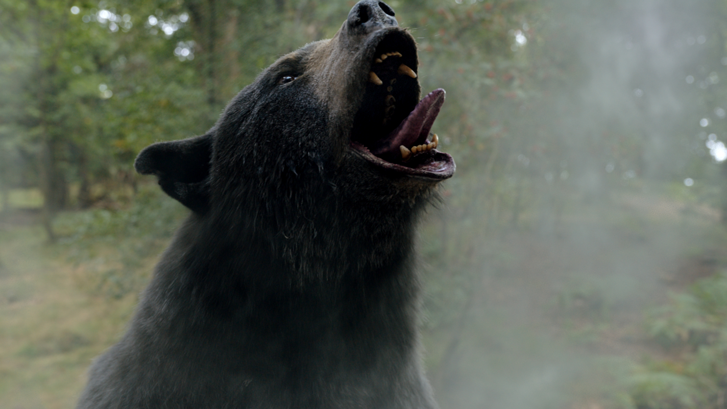 A crazed bear, howls in the woods, its tongue sticking out.