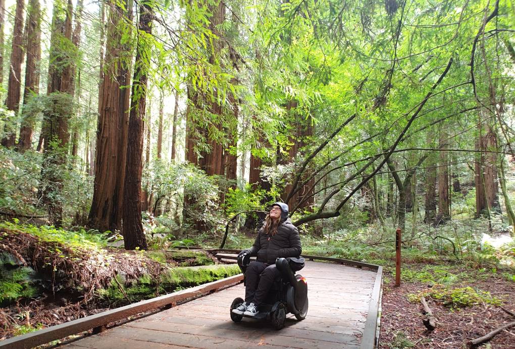 A person in a wheelchair is on a boardwalk underneath redwood trees, looking up at the sky.