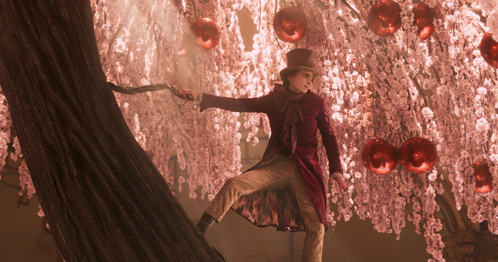 Man in top hat and Victorian clothes stands on angled trunk of tree with pink flowered branches and shiny red orbs hanging from it