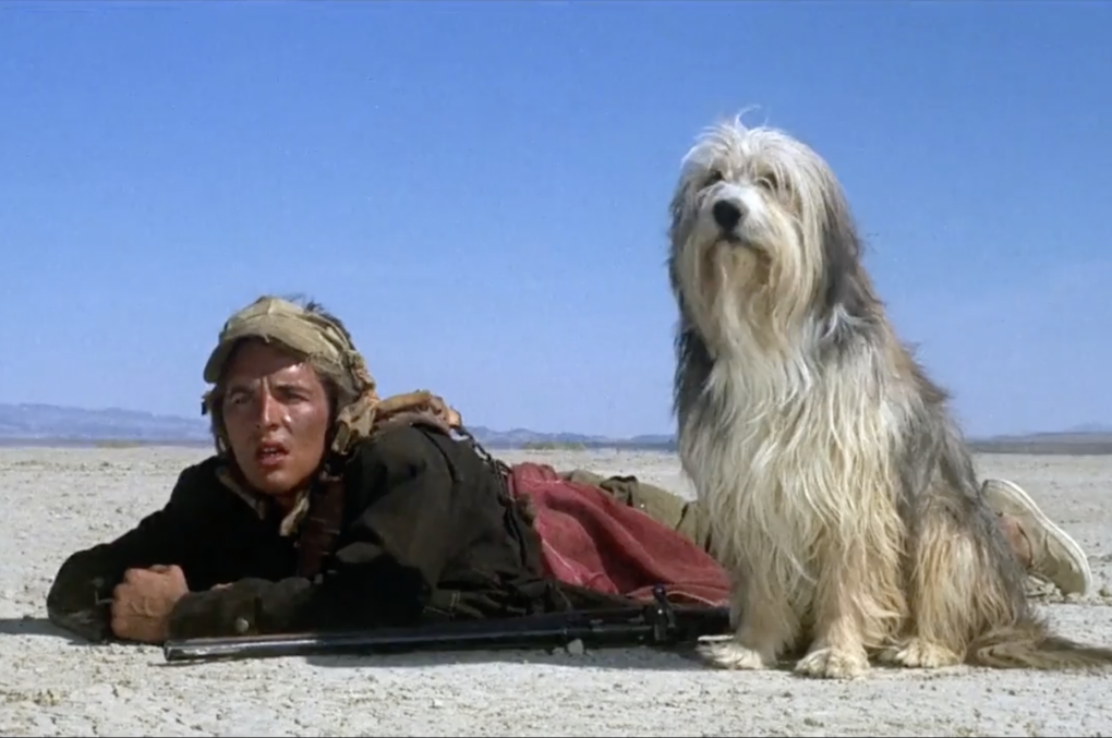 A scruffy looking teenager lies on the ground in a desert. Next to him is a shaggy dog.