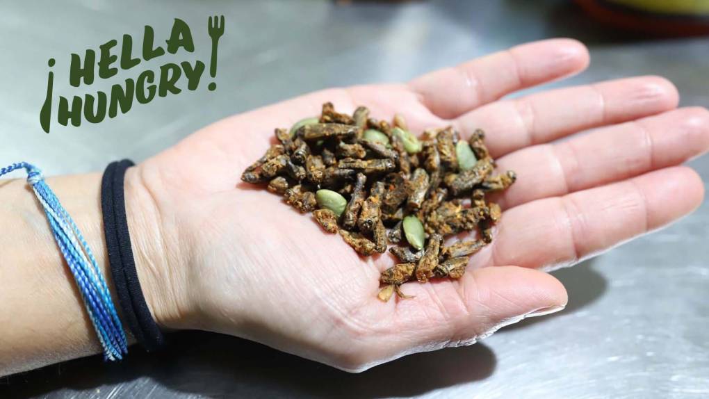 An outstretched hand holds dozens of toasted crickets mixed with pumpkin seeds. In the top left there is a "Hella Hungry" logo.